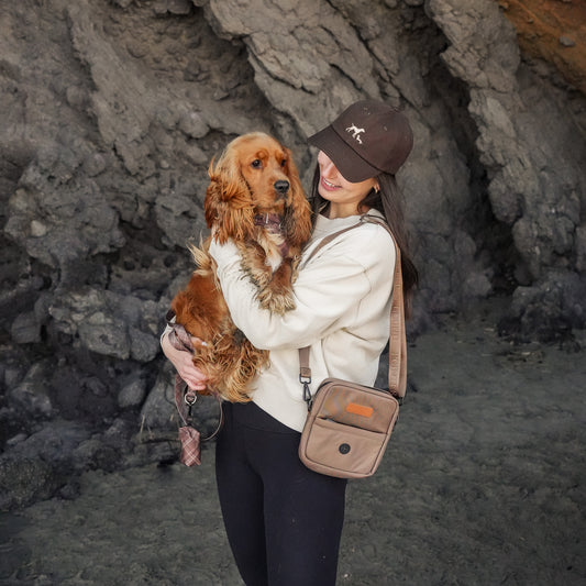 Walk Bag - Waterproof Brown