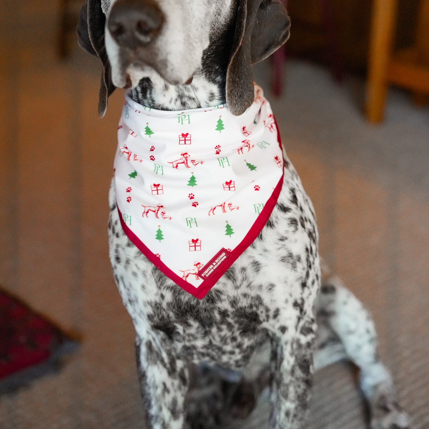 Christmas Bandana