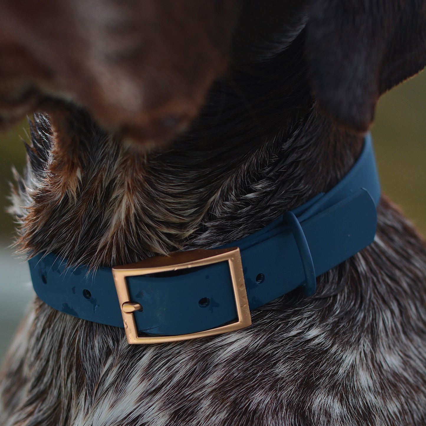 PVC Collar - Blue