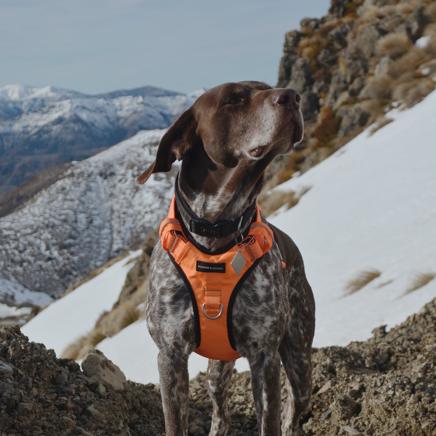 Tactical Harness - Blaze Orange