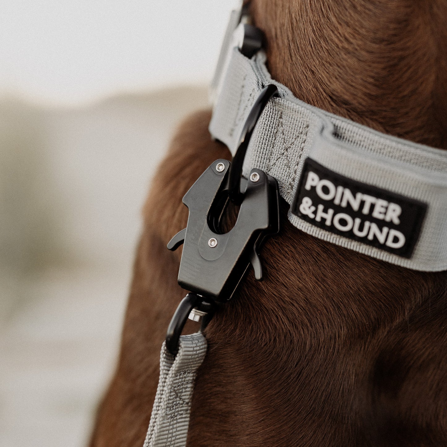 Tactical Leash - Grey
