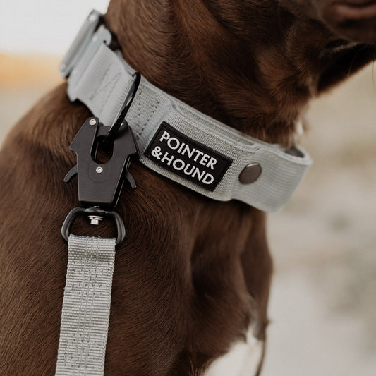 Tactical Collar - Grey