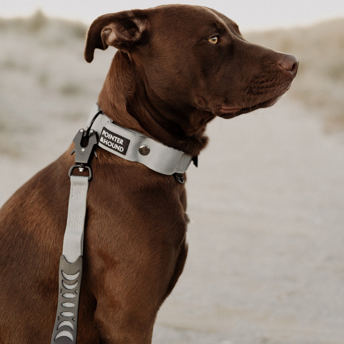 Tactical Leash - Grey