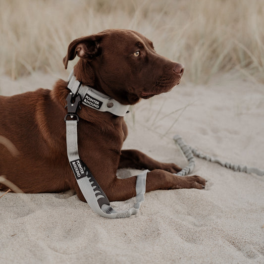 Tactical Leash - Grey
