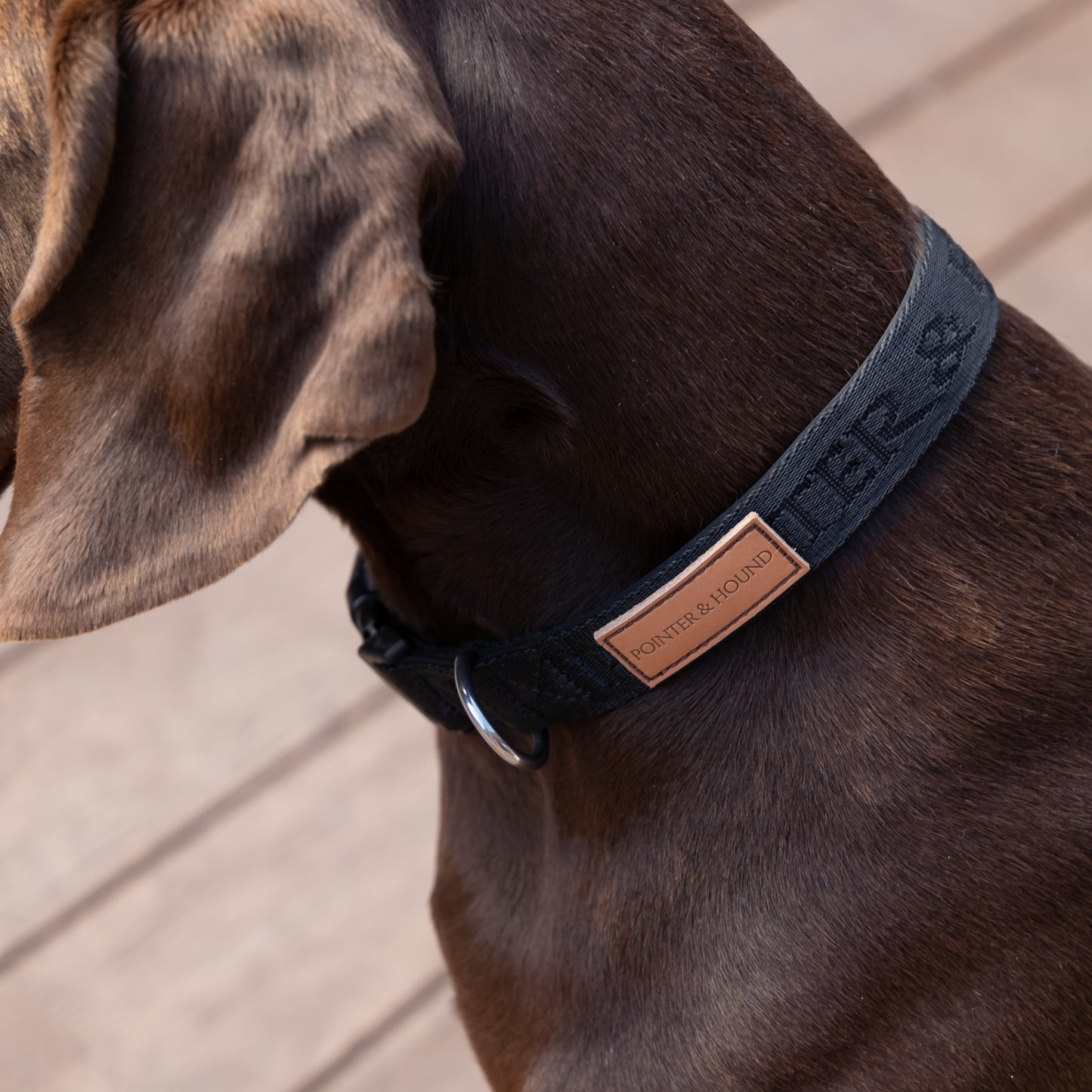 Signature Collar - Black