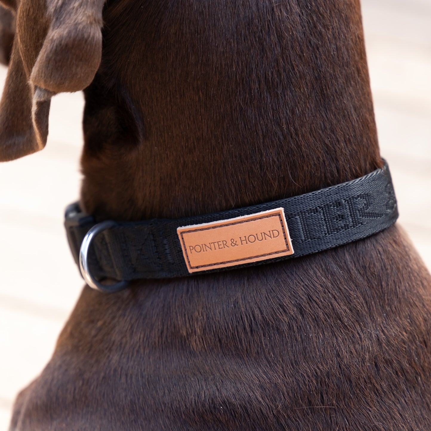 Signature Collar - Black