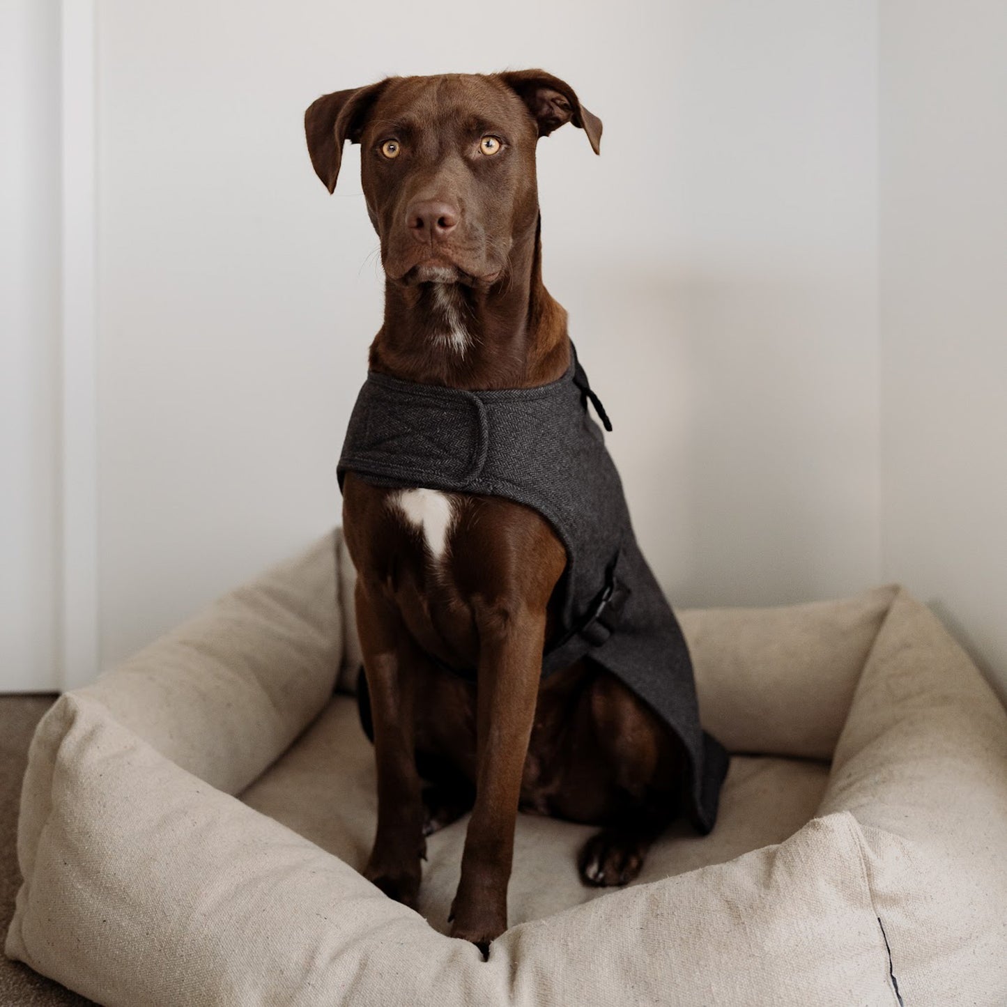 Herringbone Fleece Jacket