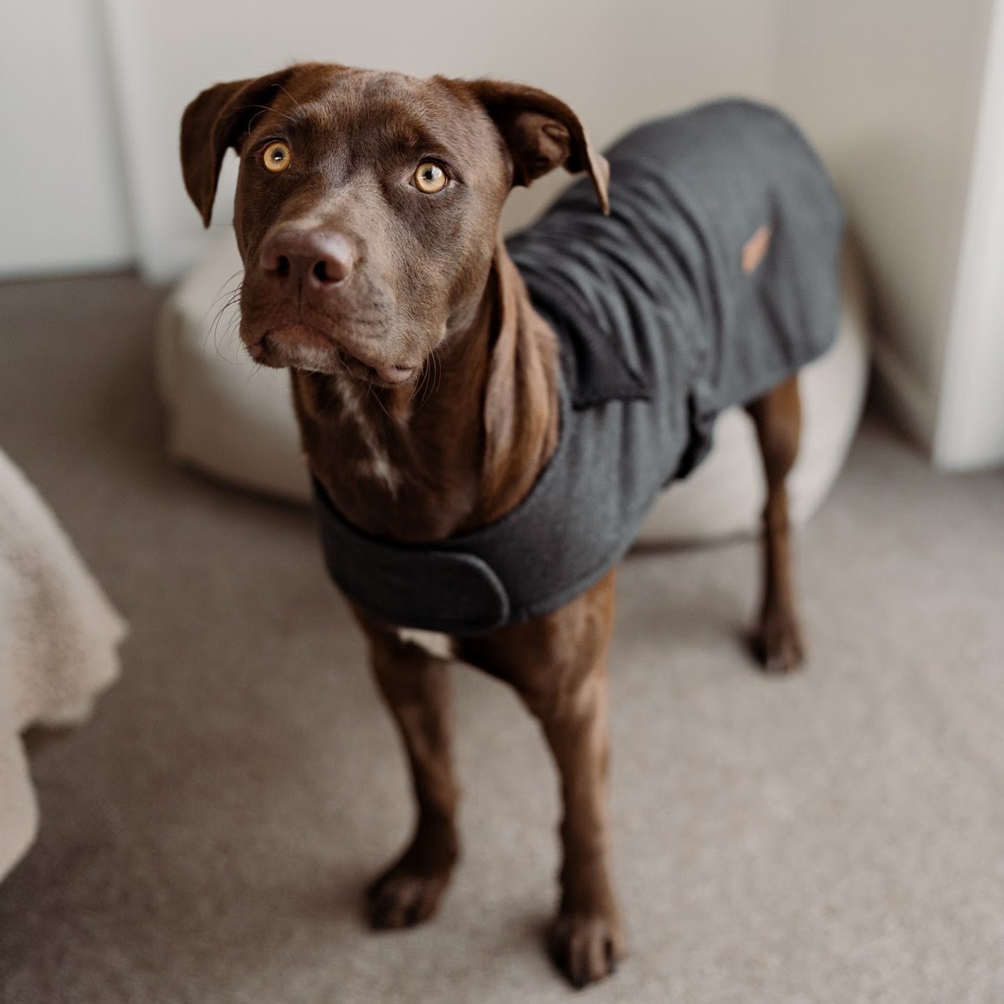 Herringbone Fleece Jacket