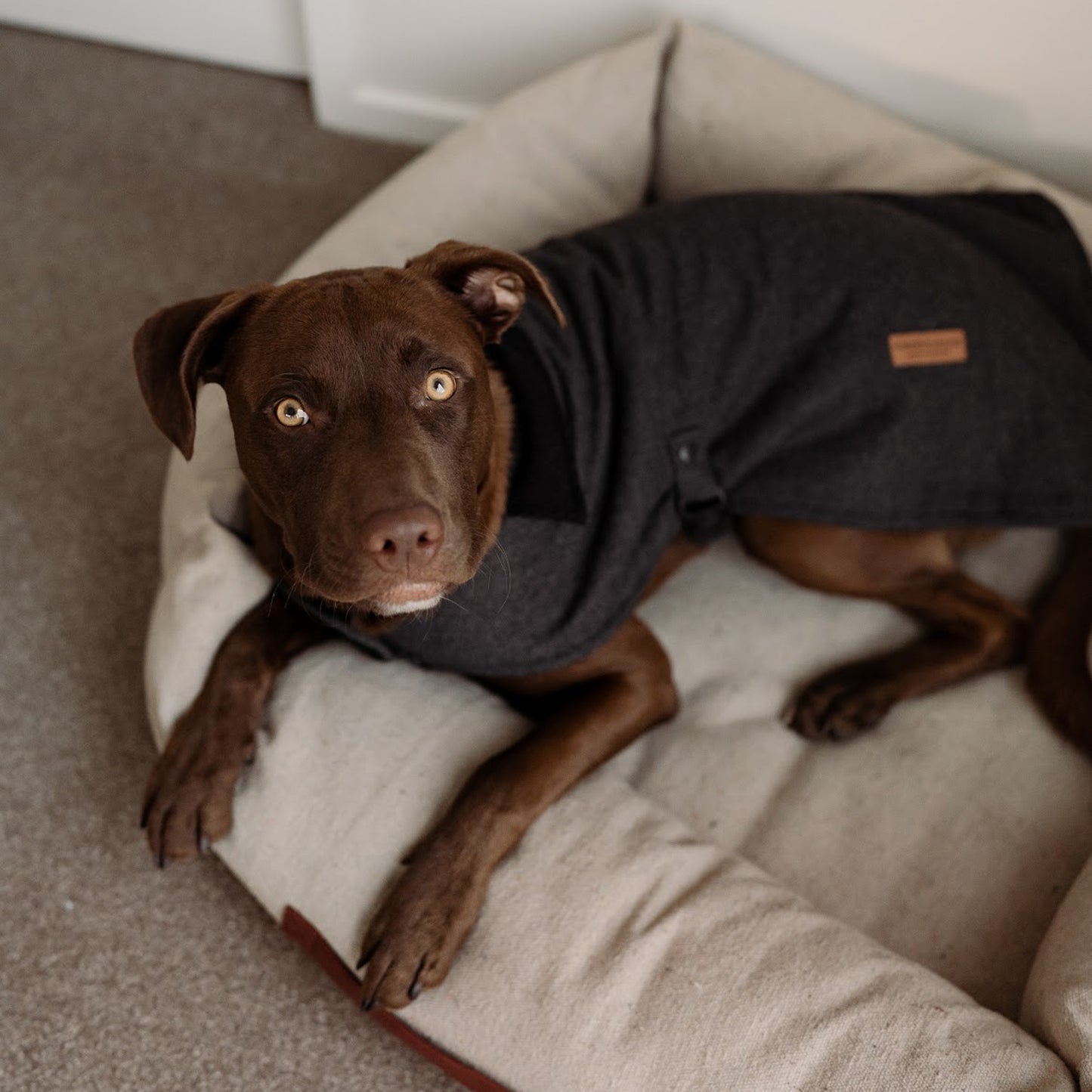 Herringbone Fleece Jacket