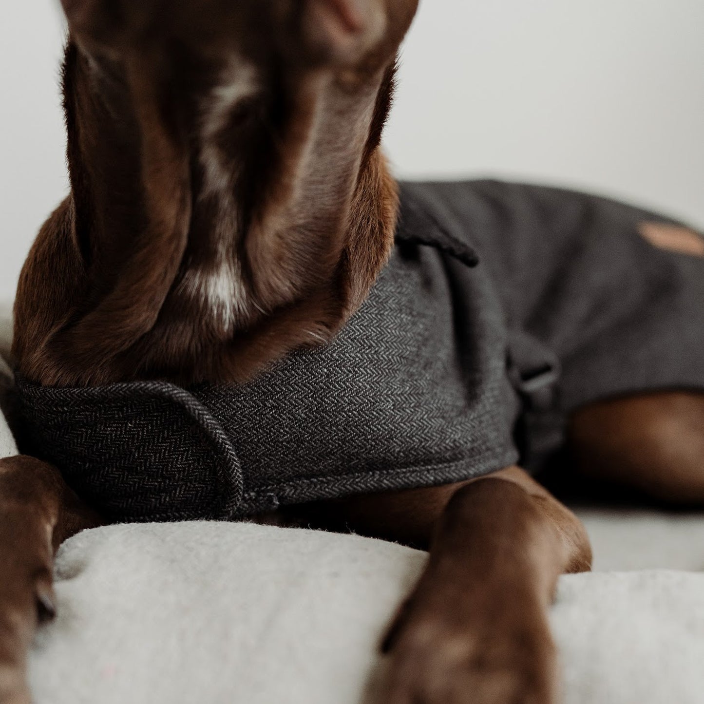 Herringbone Fleece Jacket