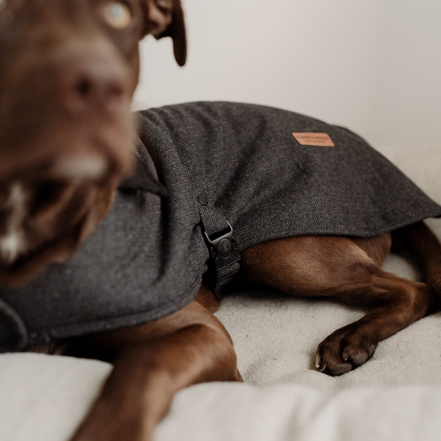 Herringbone Fleece Jacket