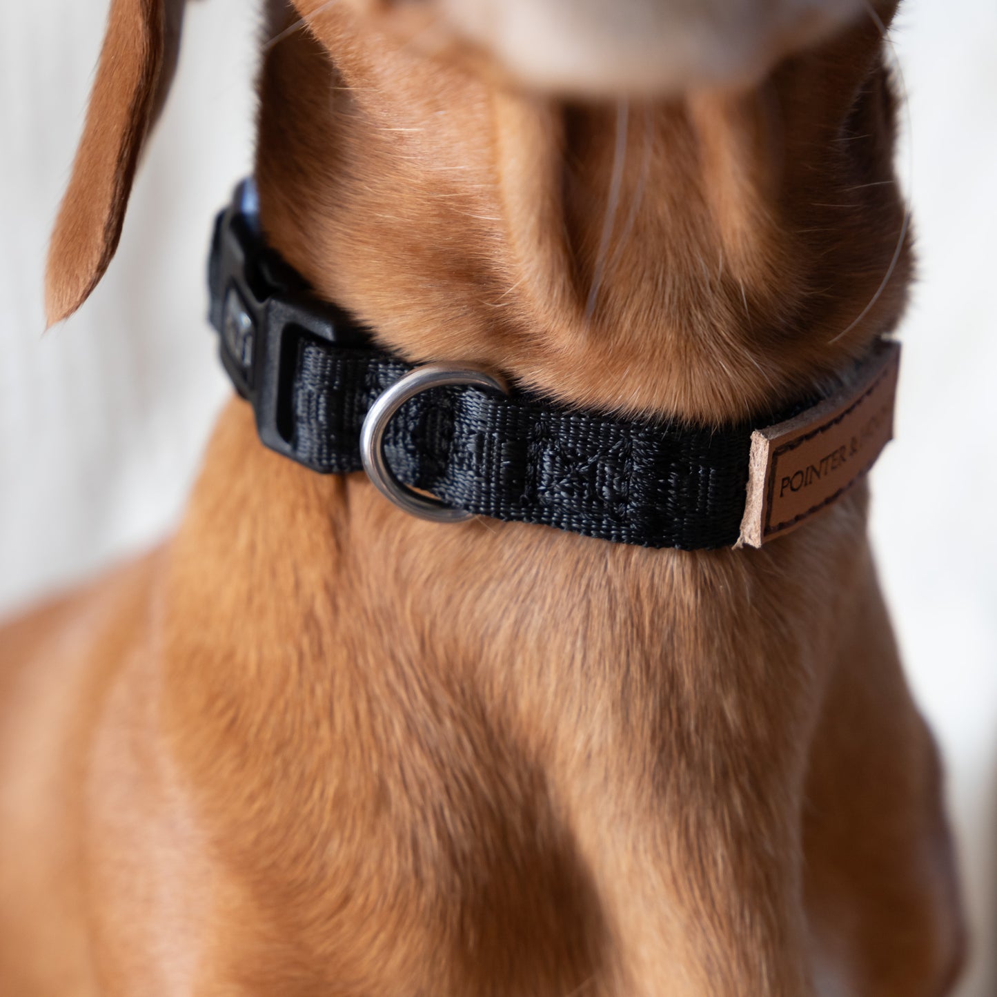 Signature Collar - Black