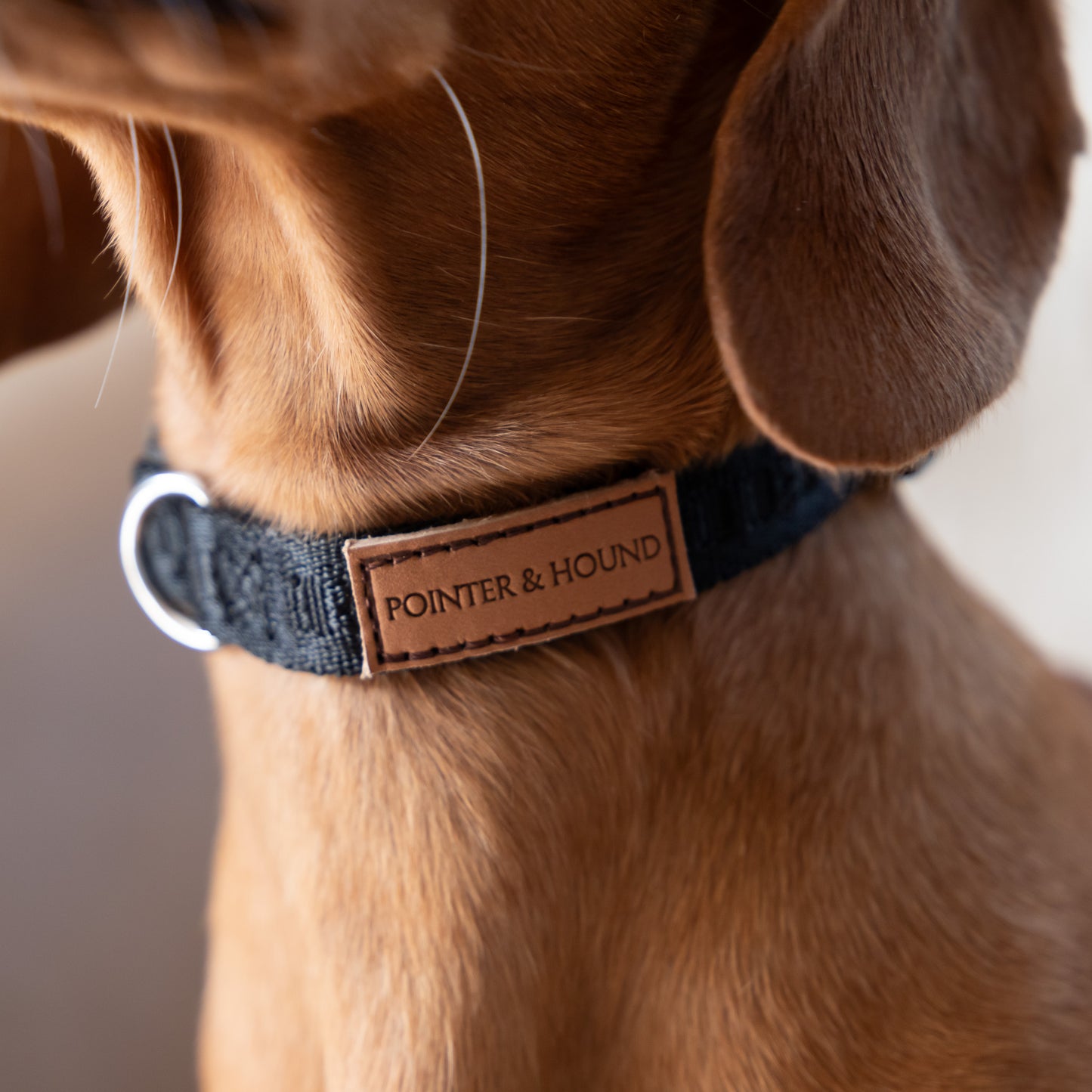 Signature Collar - Black
