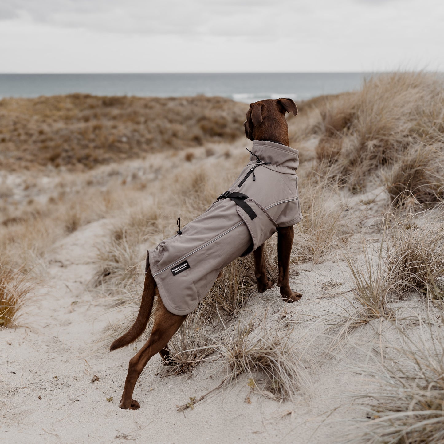 Waterproof Jacket - Mushroom