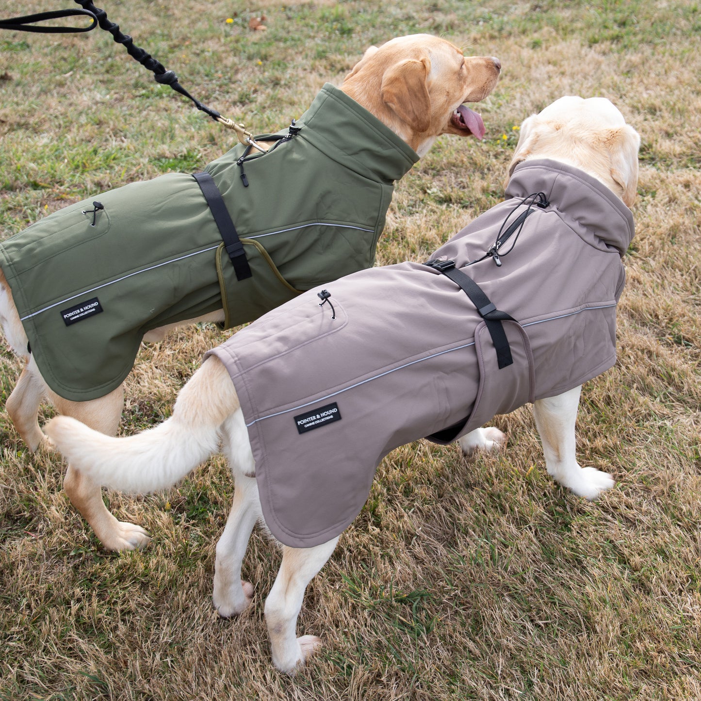 Waterproof Jacket - Mushroom