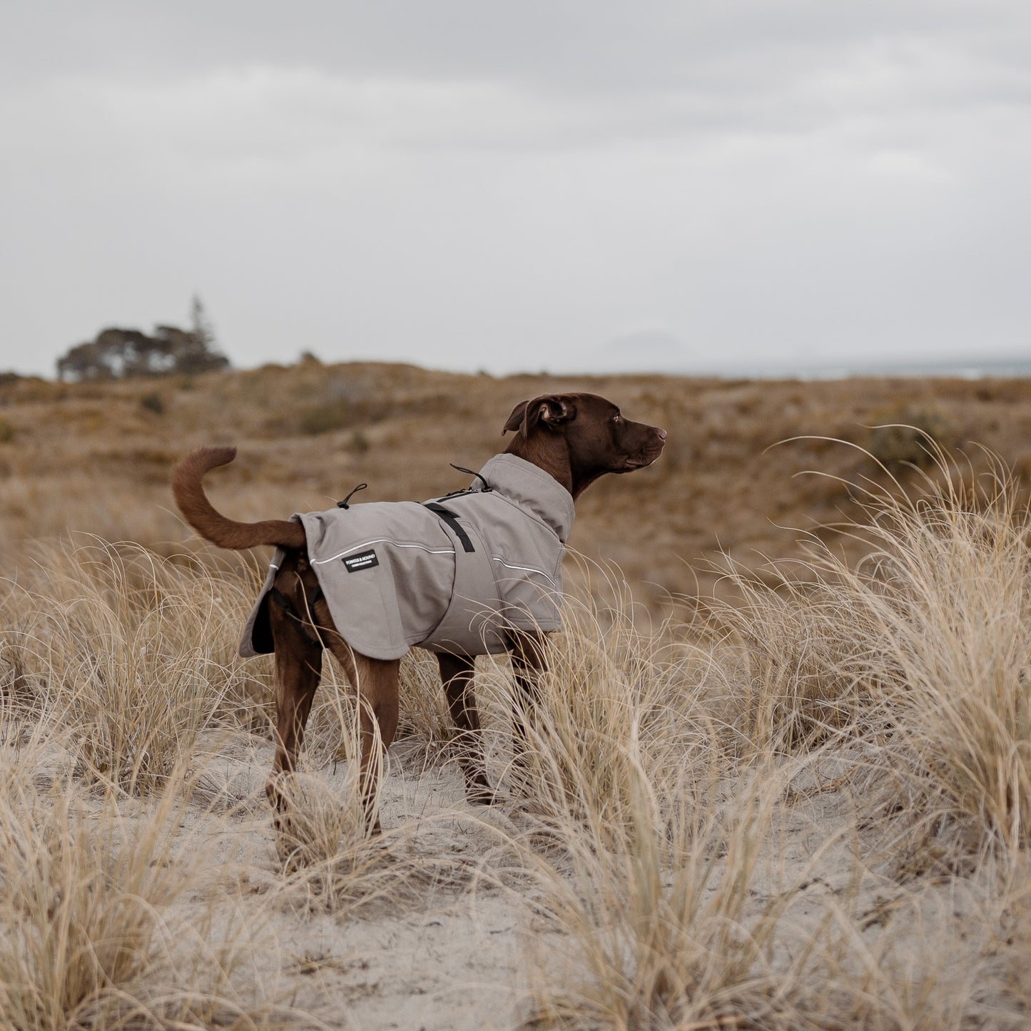 Waterproof Jacket - Mushroom