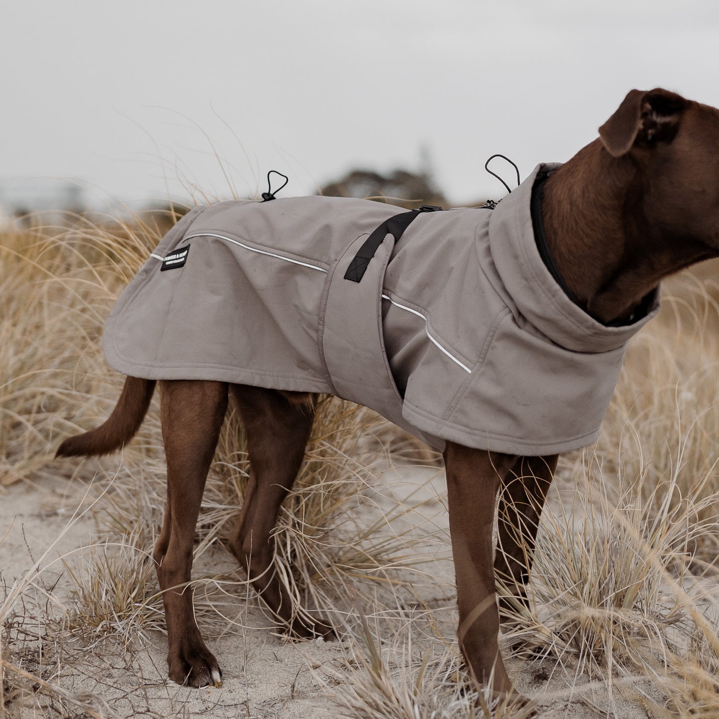 Waterproof Jacket - Mushroom