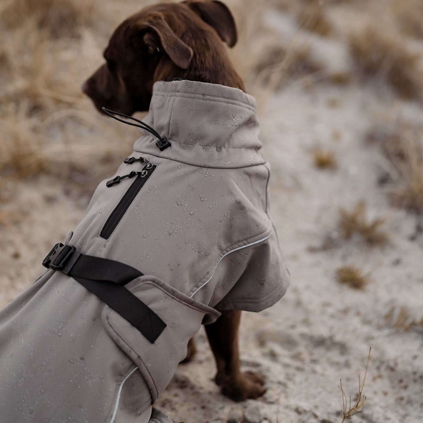 Waterproof Jacket - Mushroom