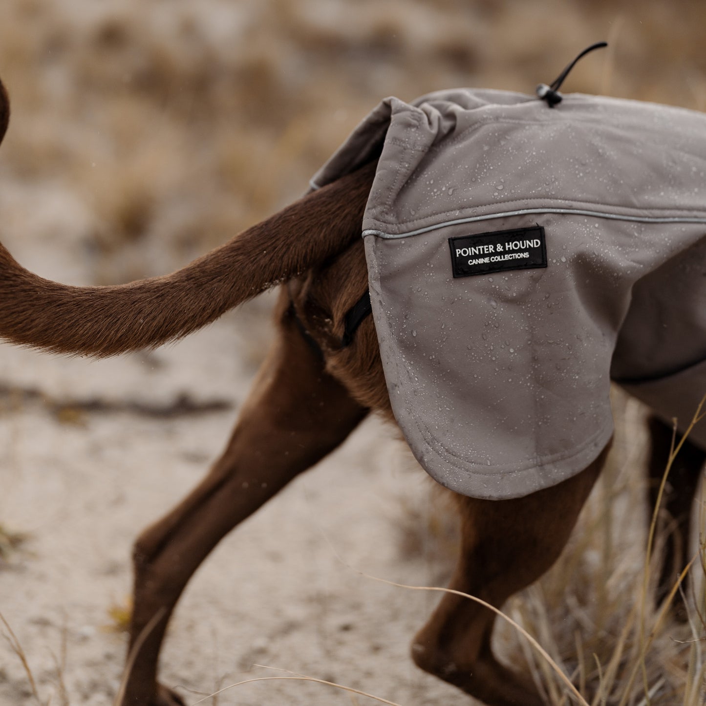 Waterproof Jacket - Mushroom