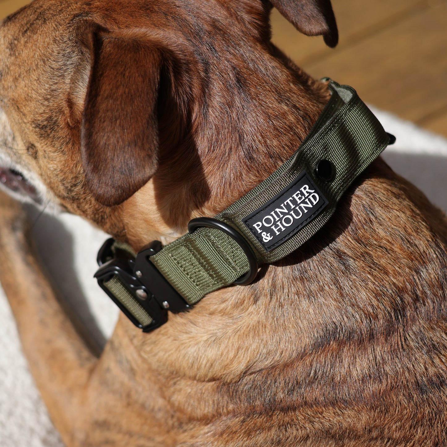 Tactical Collar - Army Green