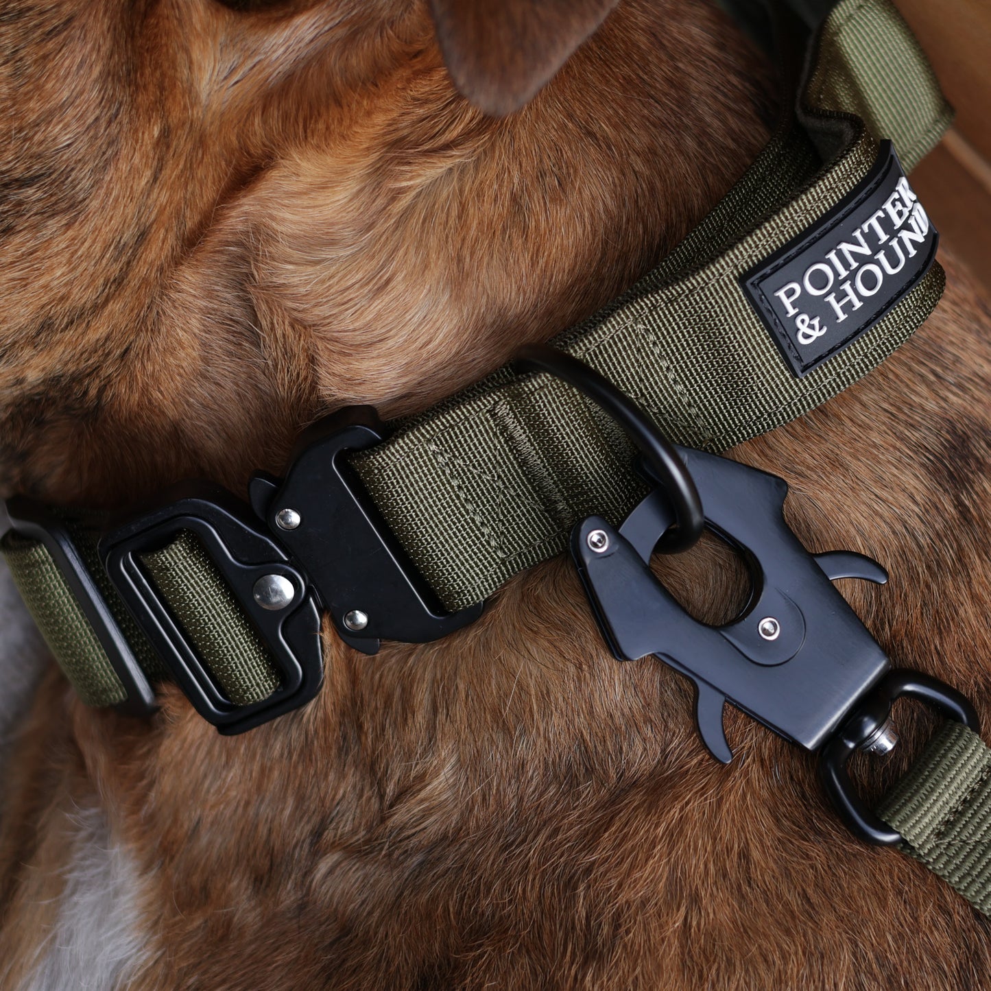 Tactical Collar - Army Green
