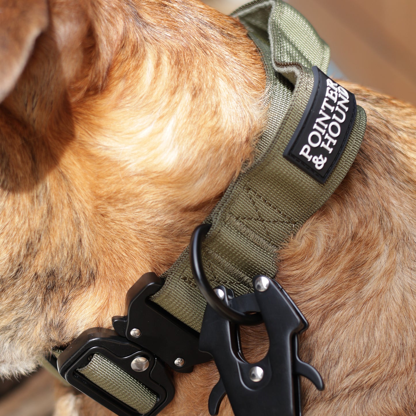 Tactical Collar - Army Green