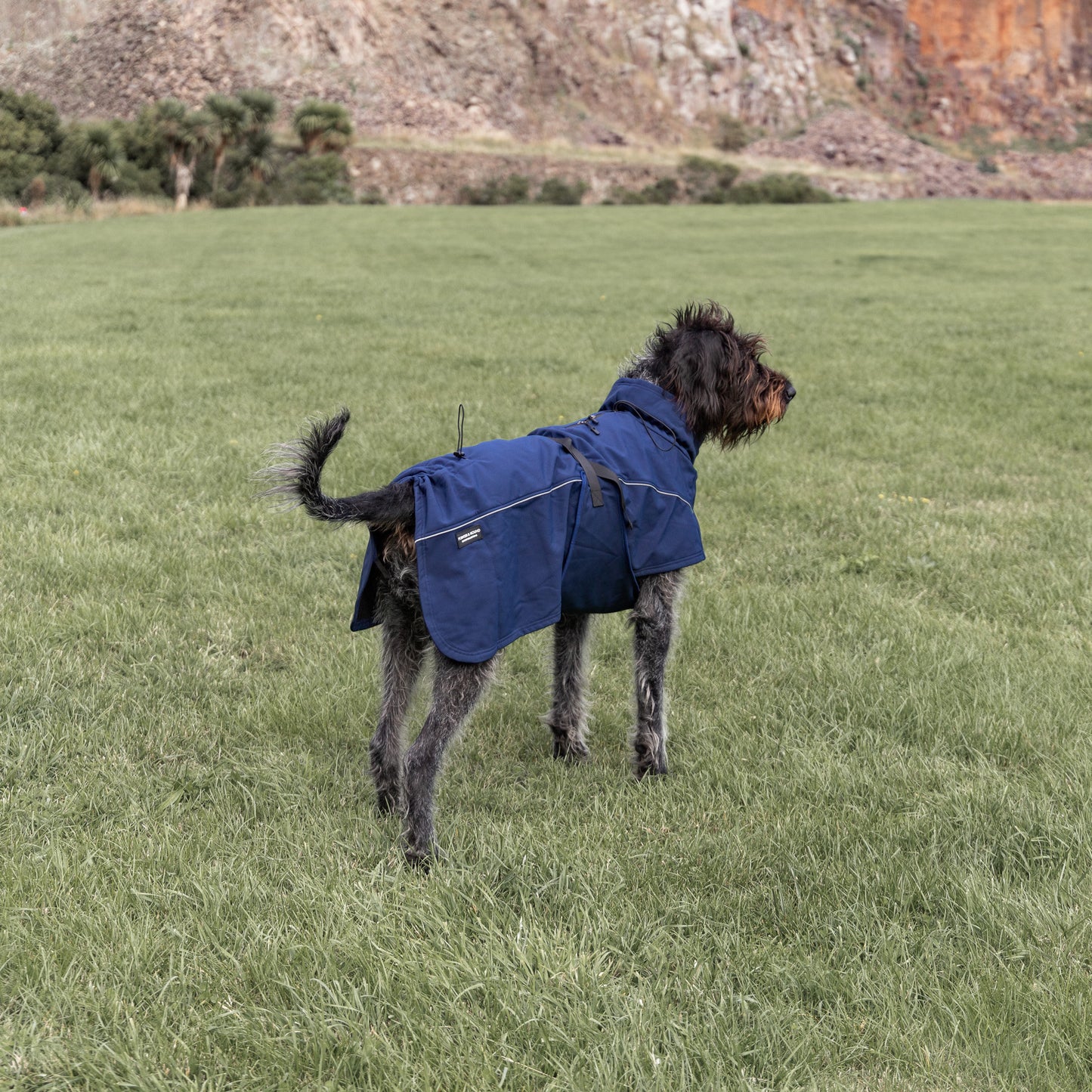 Waterproof Jacket - Navy