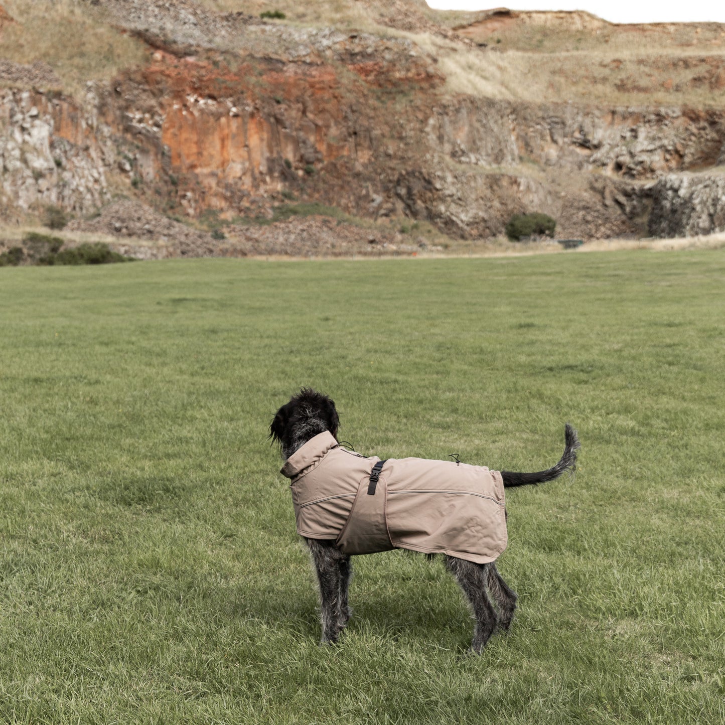 Waterproof Jacket - Mushroom