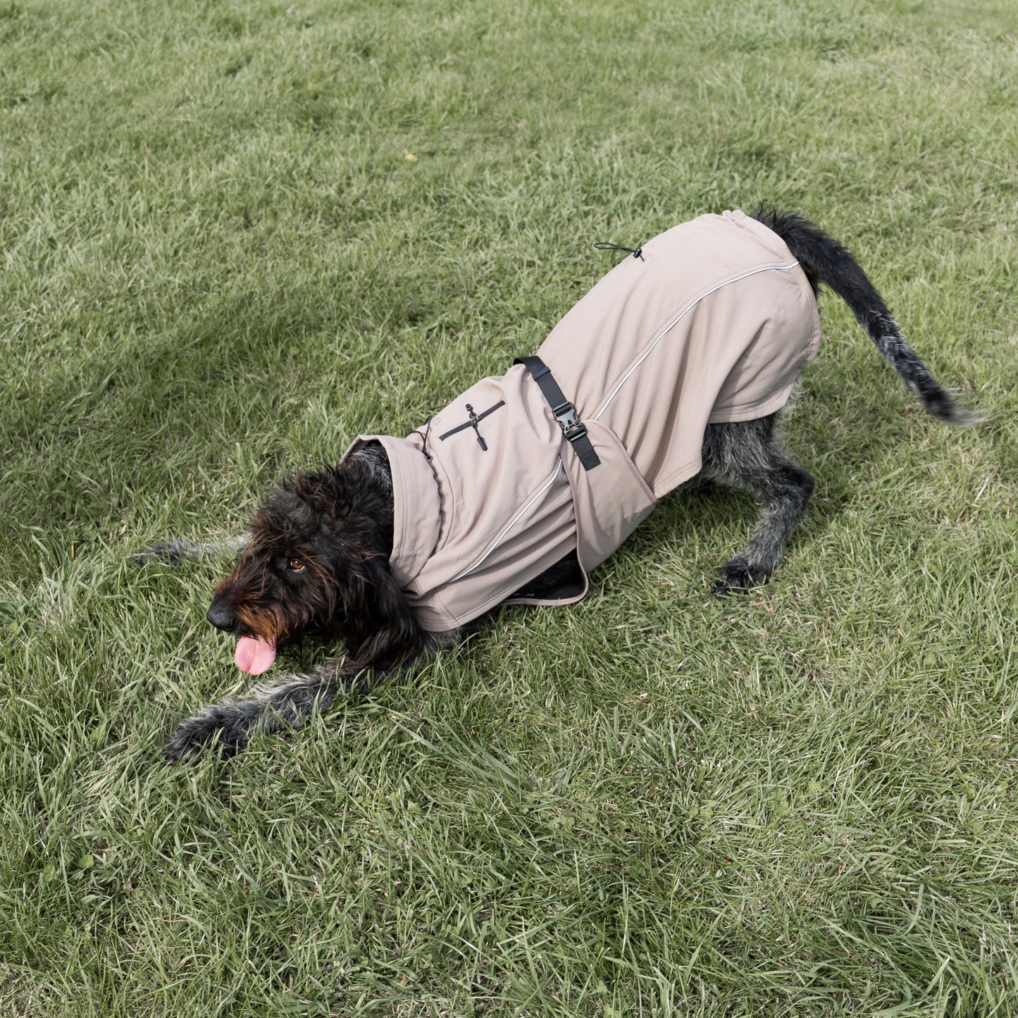 Waterproof Jacket - Mushroom