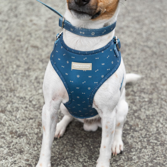 Classic Harness - Toby Print