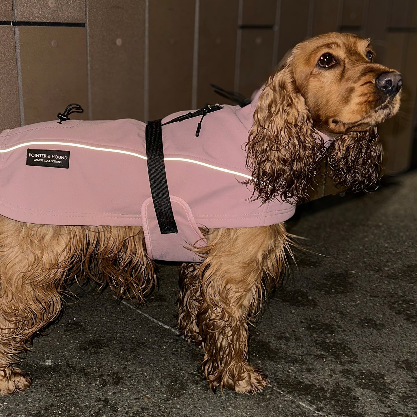 Waterproof Jacket - Pink