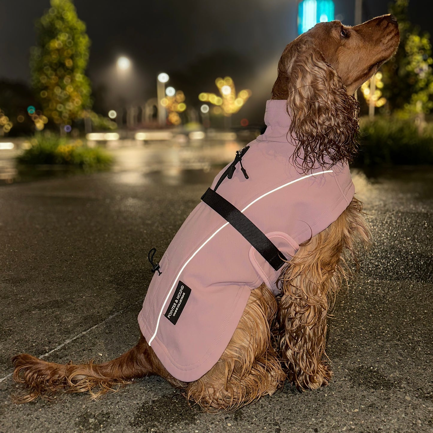 Waterproof Jacket - Pink