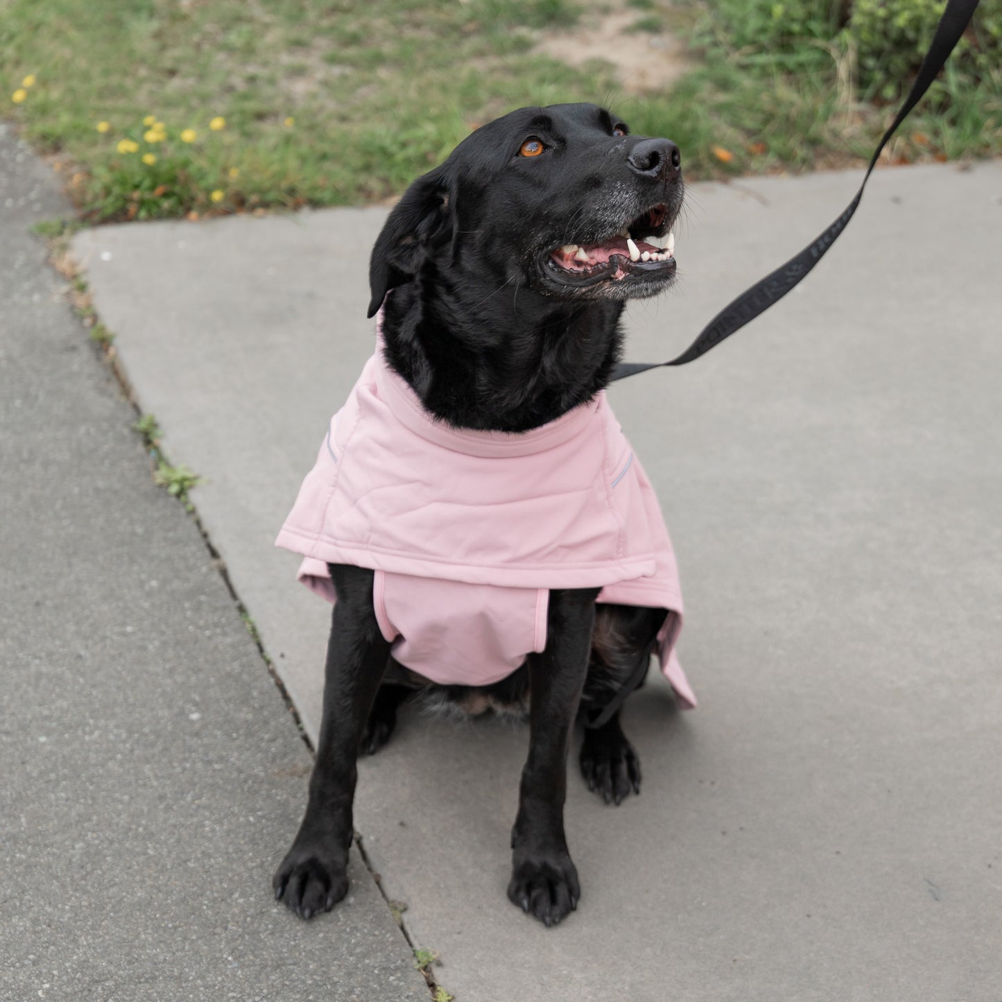 Waterproof Jacket - Pink