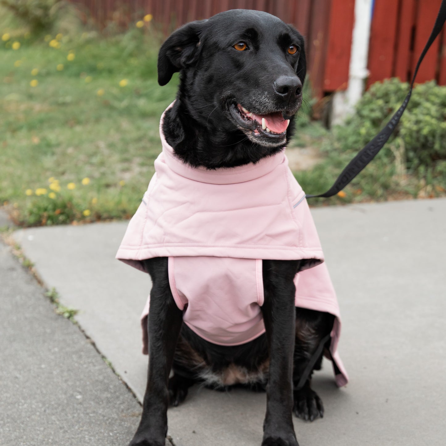 Waterproof Jacket - Pink
