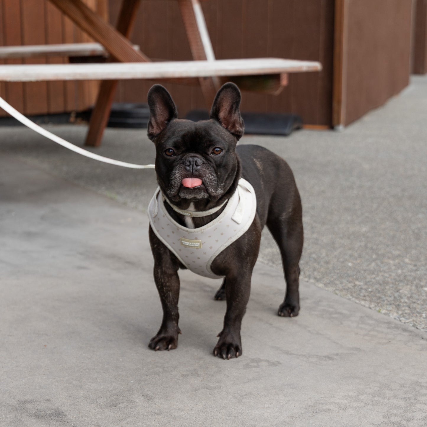Classic Harness - Maple Print