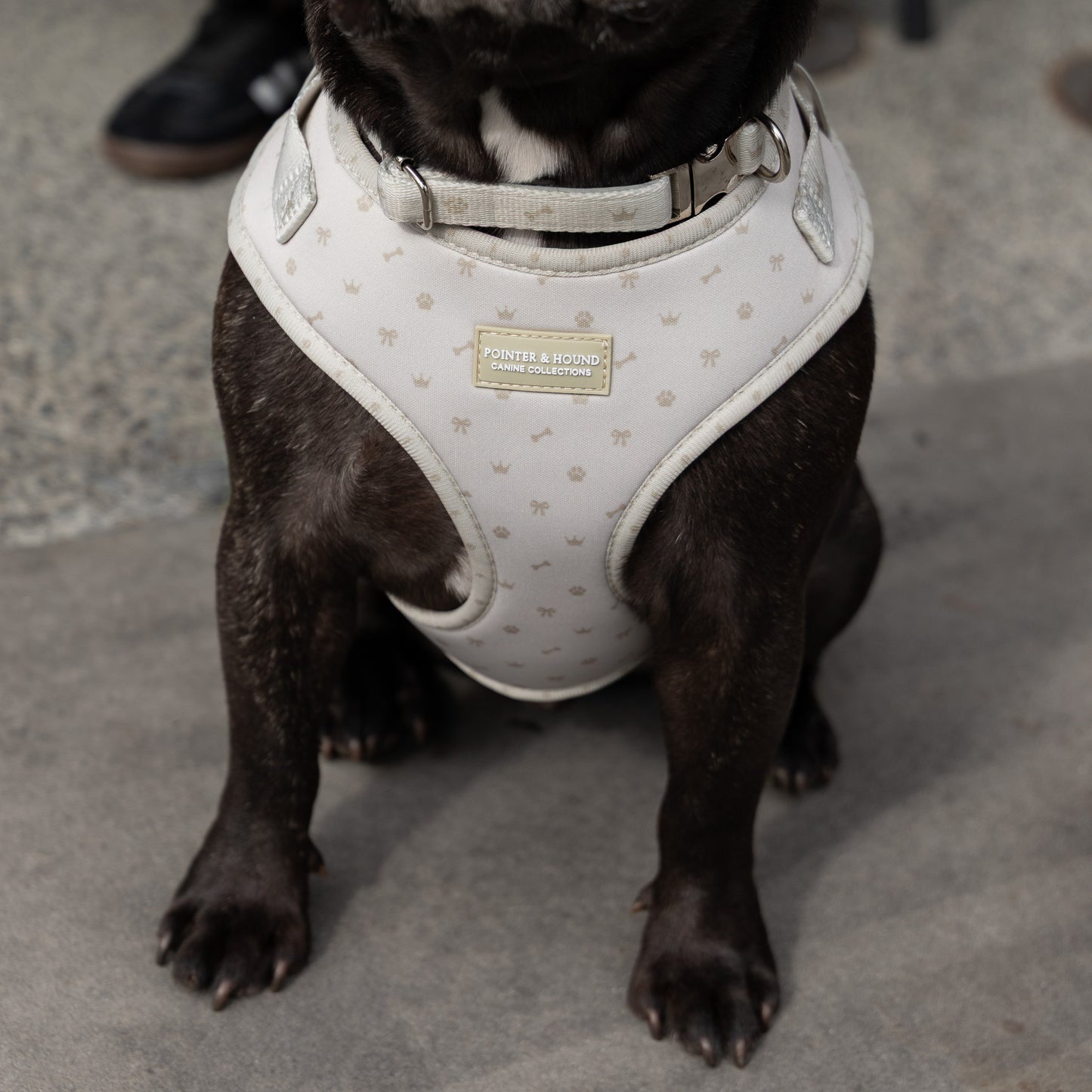 Classic Harness - Maple Print