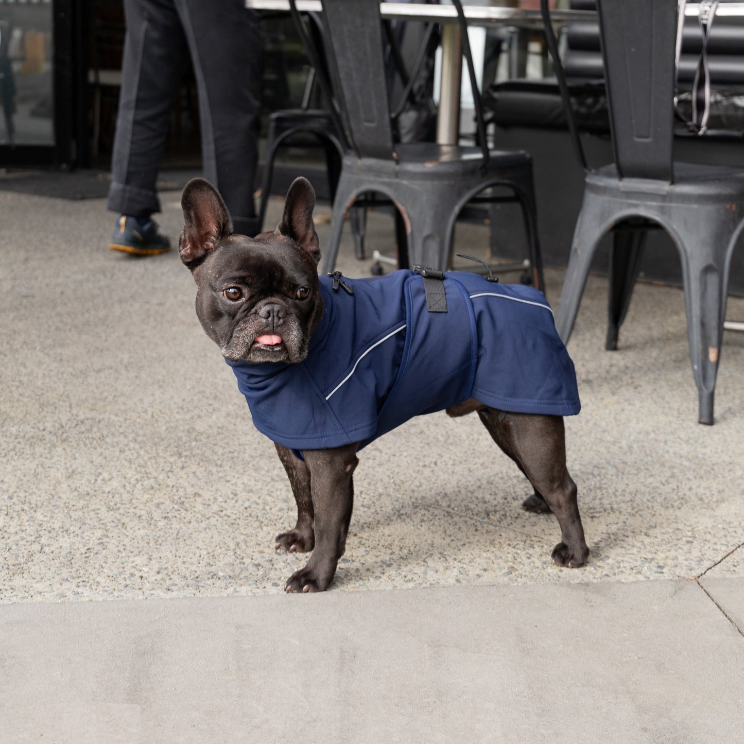 Waterproof Jacket - Navy