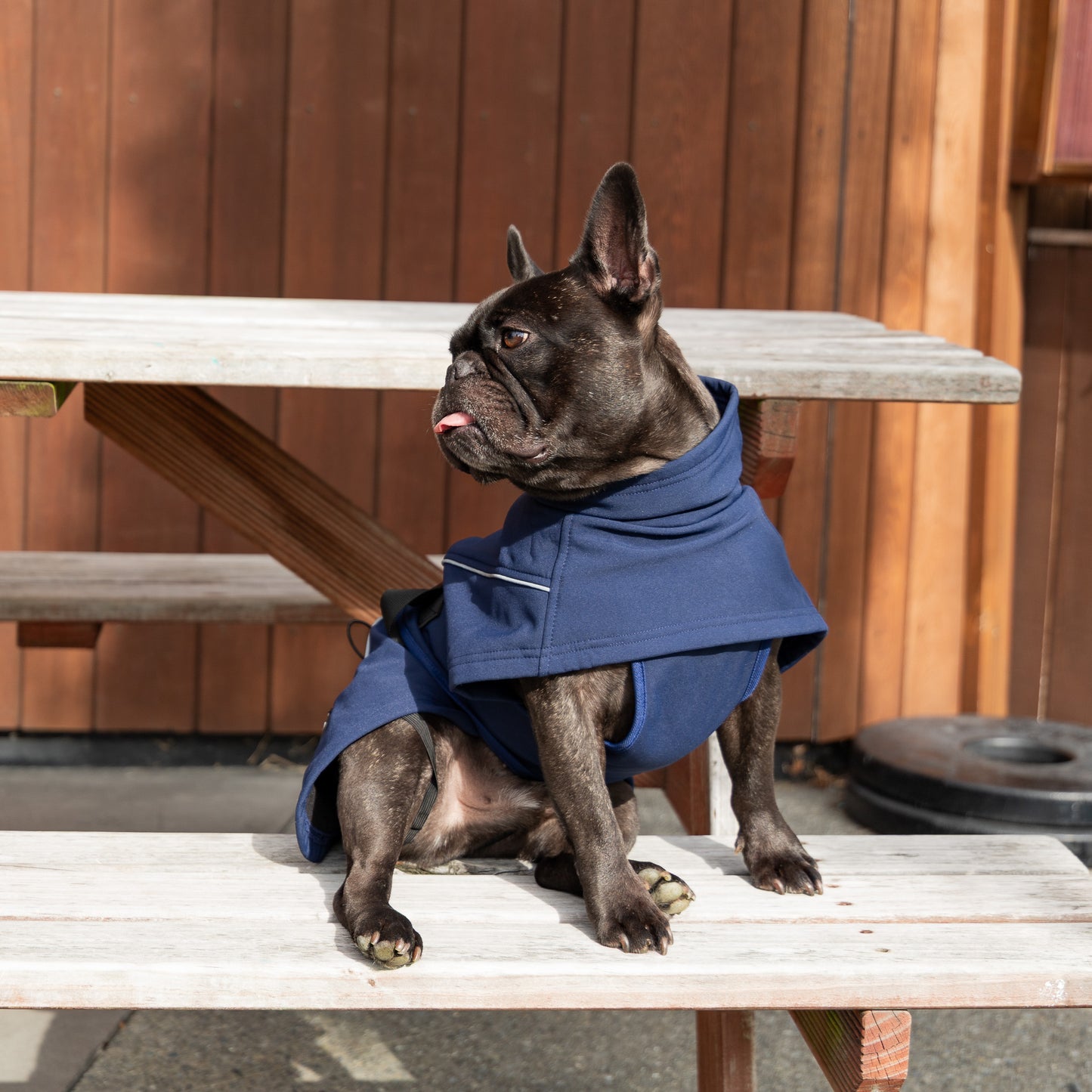 Waterproof Jacket - Navy