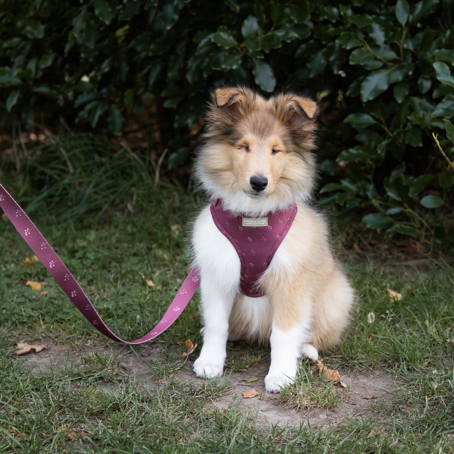 Classic Harness - Flower Print