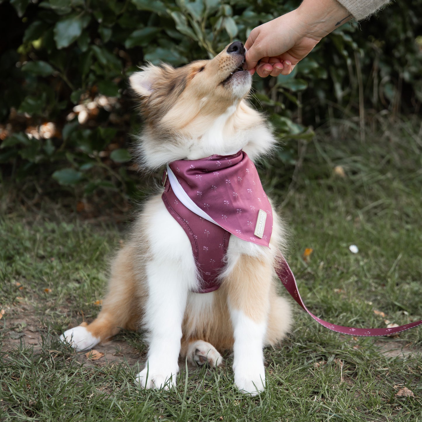 Classic Harness - Flower Print