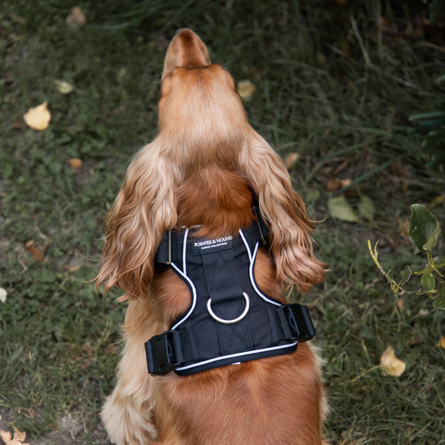 Tactical Harness - Black
