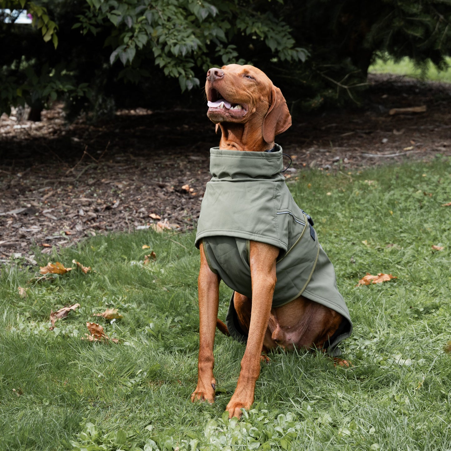 Waterproof Jacket - Green