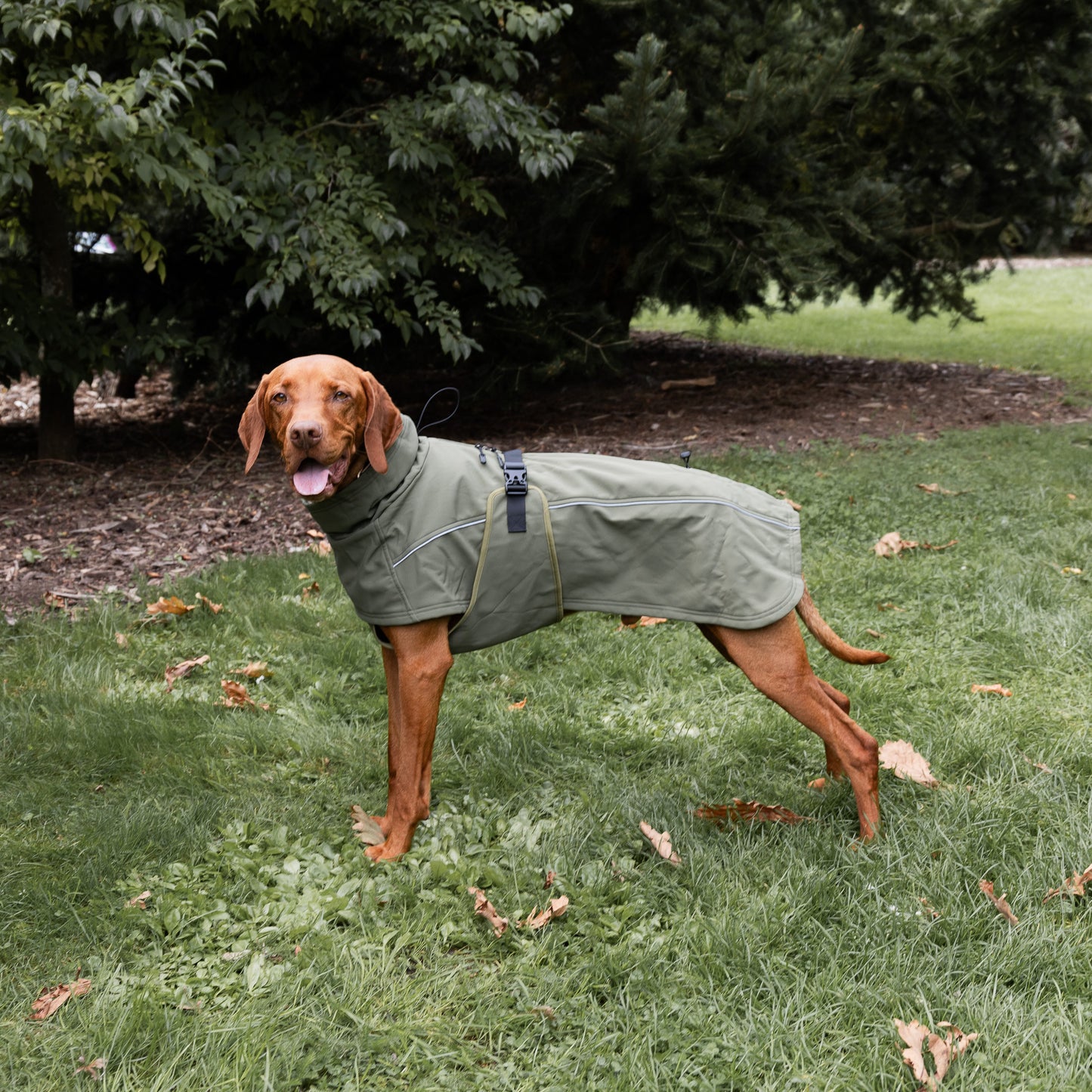 Waterproof Jacket - Green