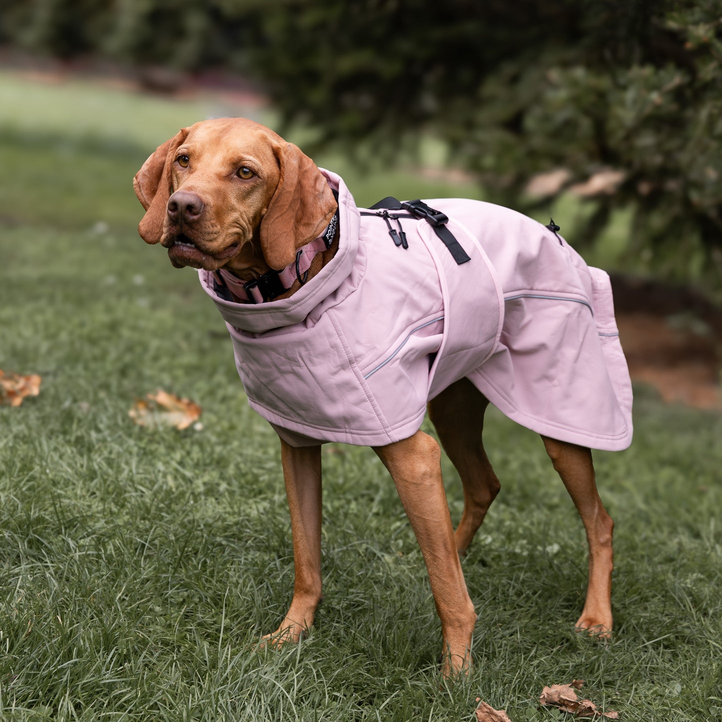 Waterproof Jacket - Pink