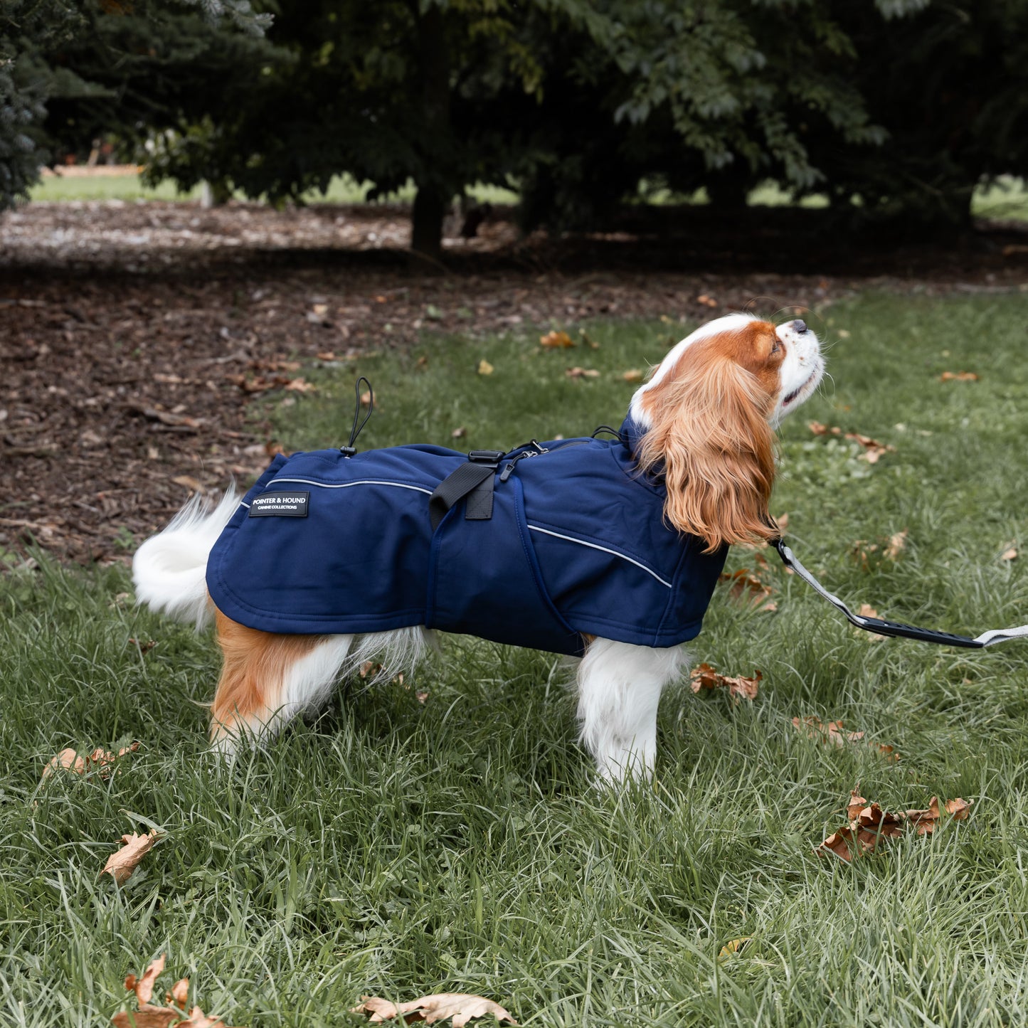 Waterproof Jacket - Navy