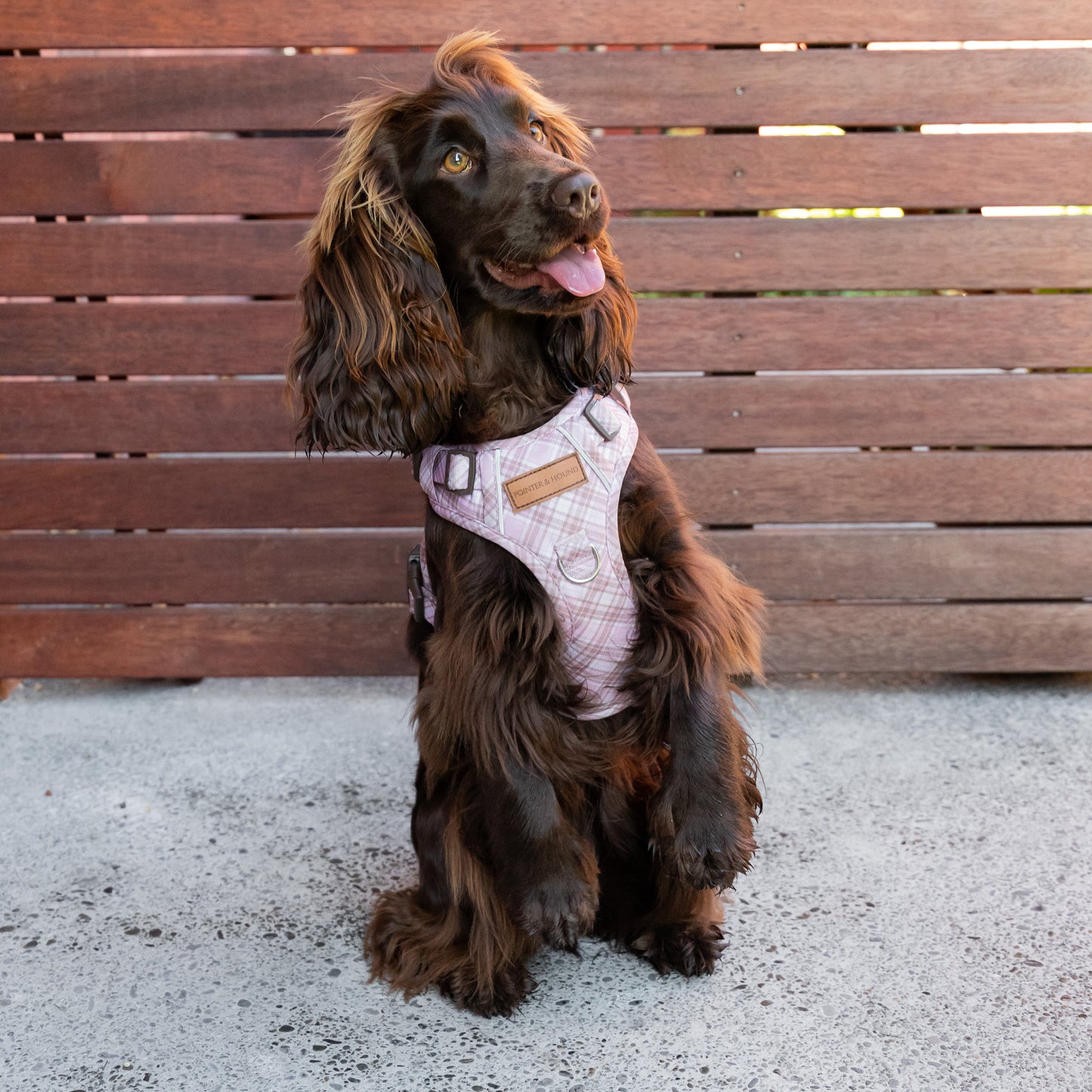 Signature Harness - Pink Tartan