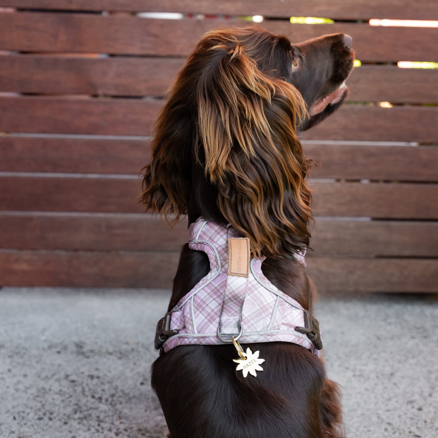 Signature Harness - Pink Tartan