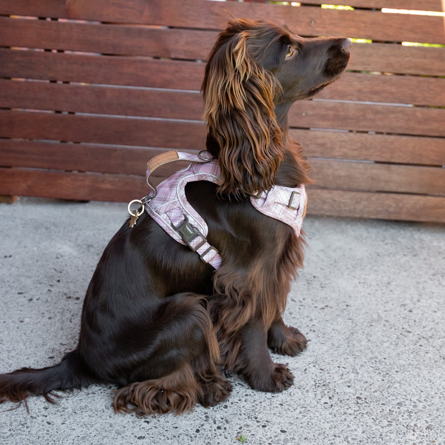 Signature Harness - Pink Tartan