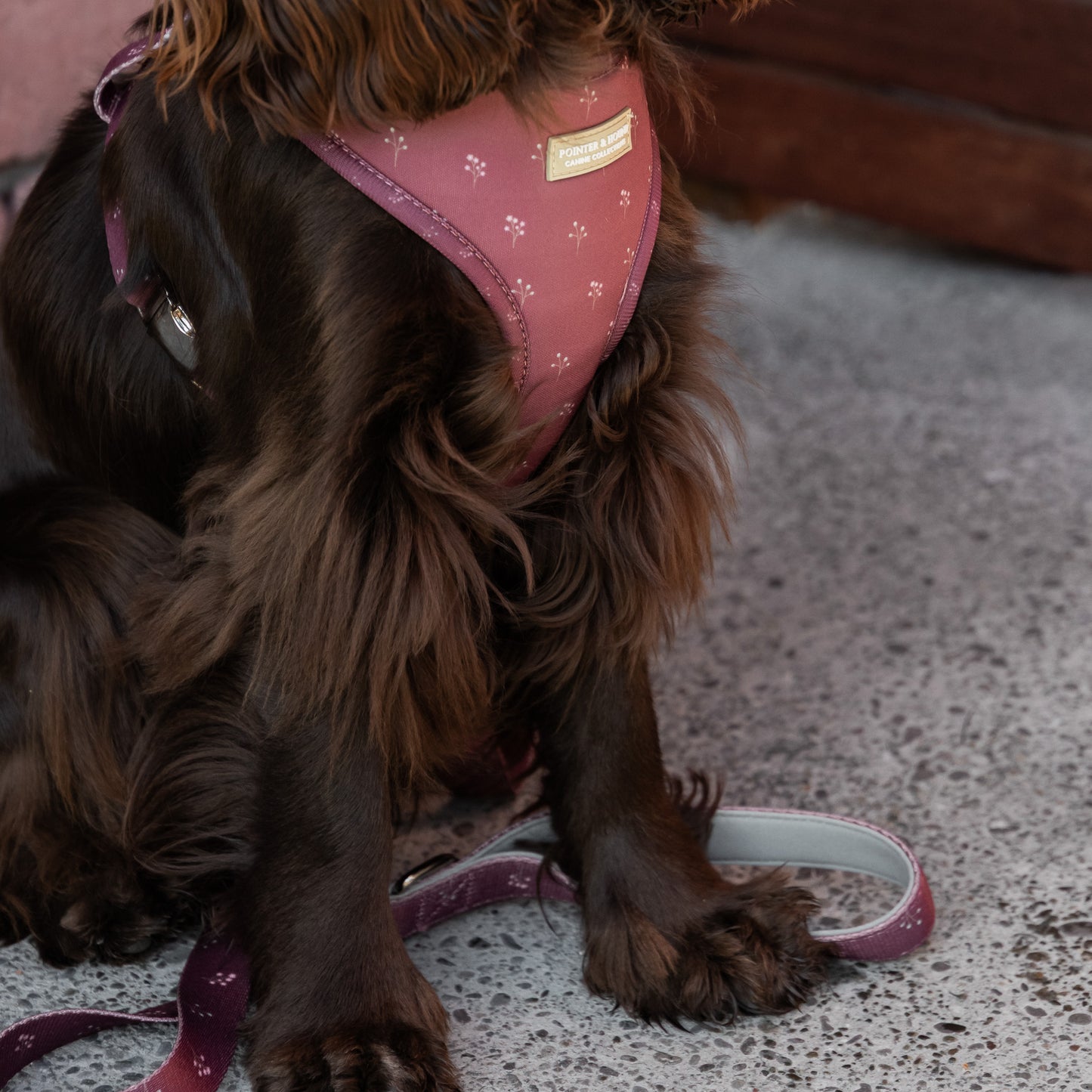 Classic Harness - Flower Print