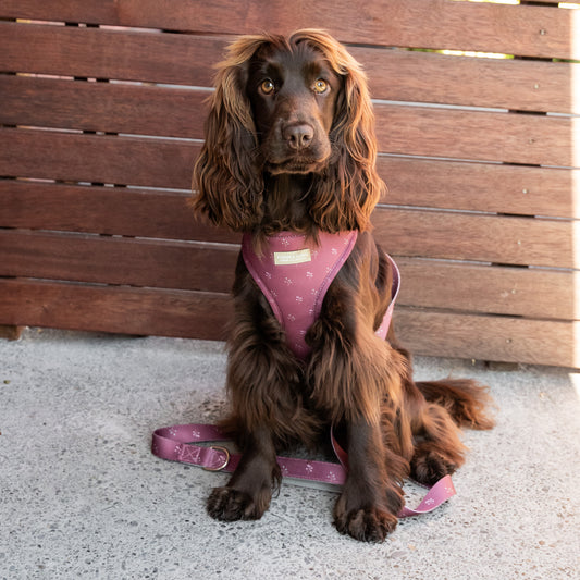 Classic Harness - Flower Print